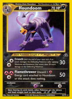 Houndoom, Neo Discovery 23