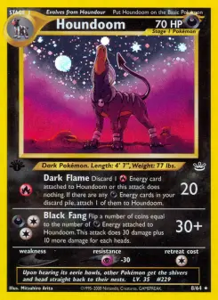 Houndoom, Neo Revelation 8
