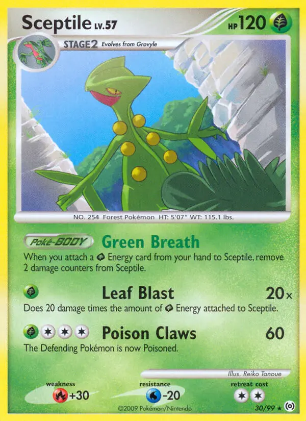 Sceptile, Arceus 30