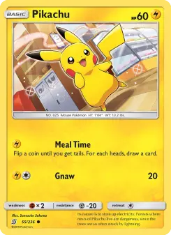 Pikachu, Harmonie des Esprits 55