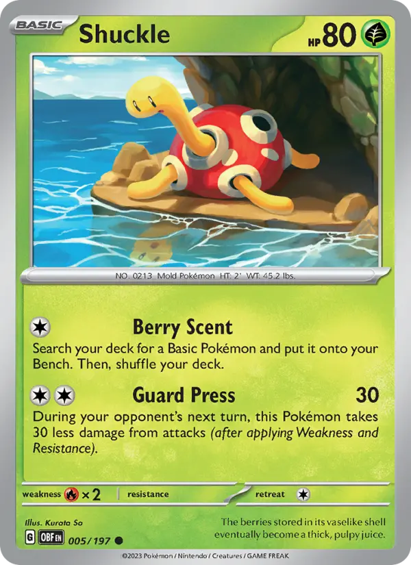 Shuckle, Obsidian Flames 005