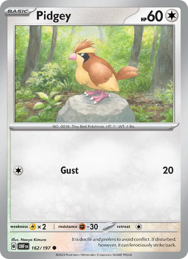 Pidgey, Obsidian Flames 162