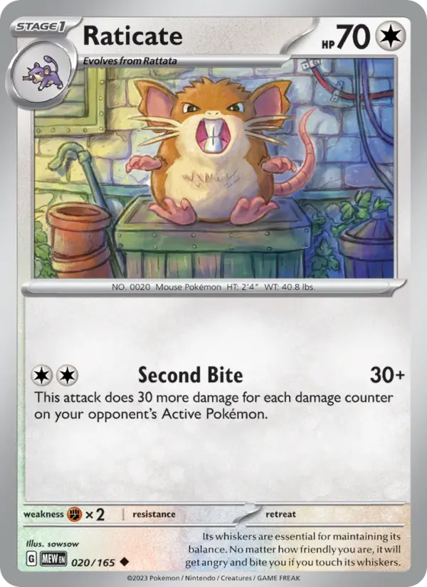 Raticate, 151 020