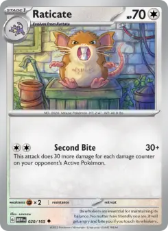 Raticate, 151 020