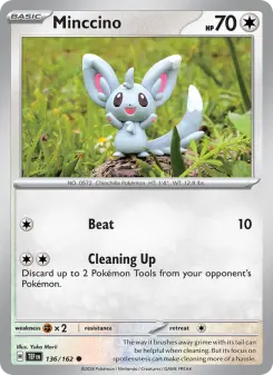 Minccino, Temporal Forces 136