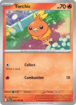 Torchic, Destined Rivals 040