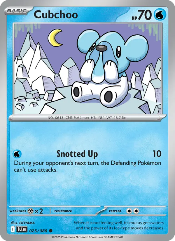 Cubchoo, Black Bolt 025