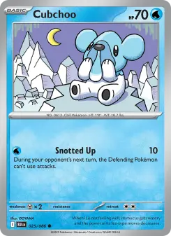 Cubchoo, Black Bolt 025