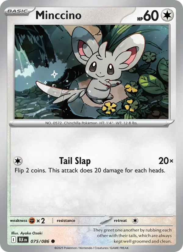 Minccino, Black Bolt 075