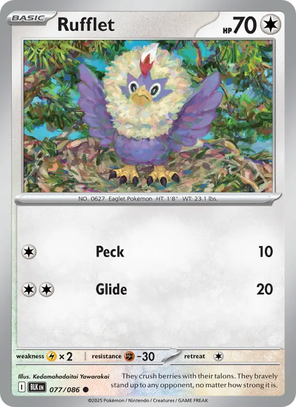 Rufflet, Black Bolt 077