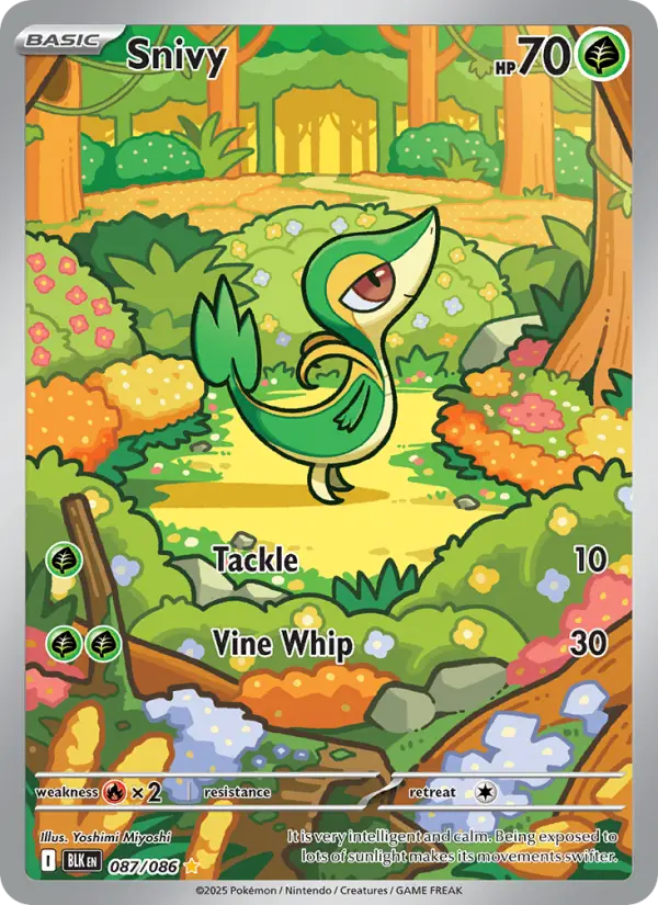 Snivy, Black Bolt 087
