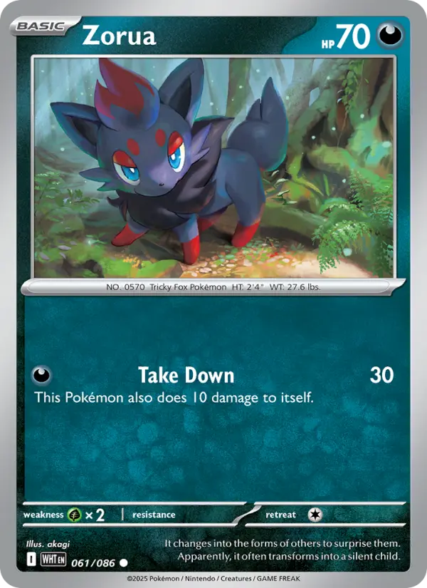 Zorua, White Flare 061