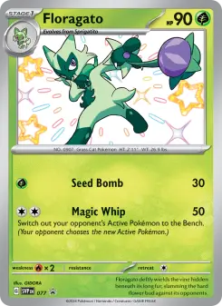 Floragato, SVP Black Star Promos 077