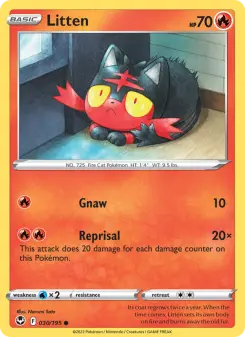 Litten, Silver Tempest 030