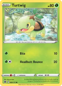 Turtwig, Brilliant Stars 006