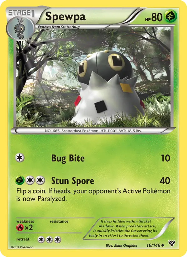 Spewpa, XY 16