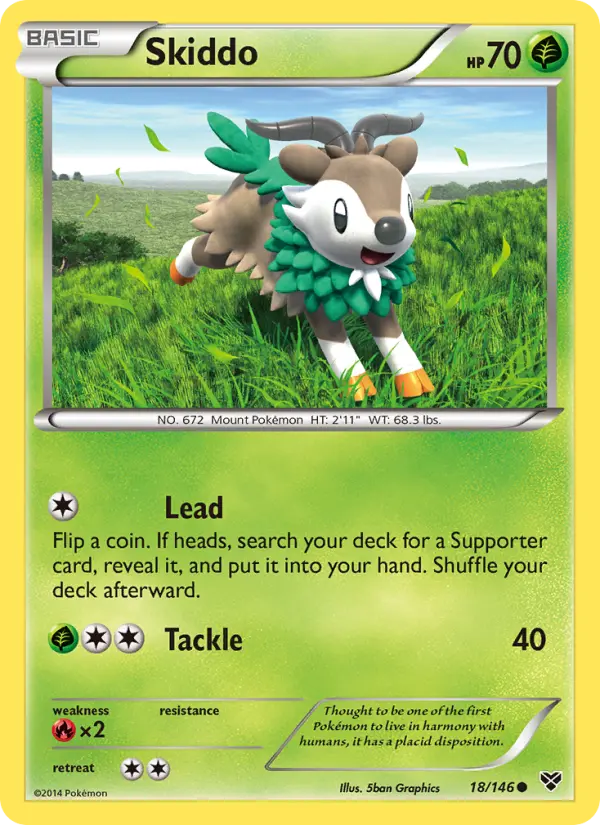 Skiddo, XY 18
