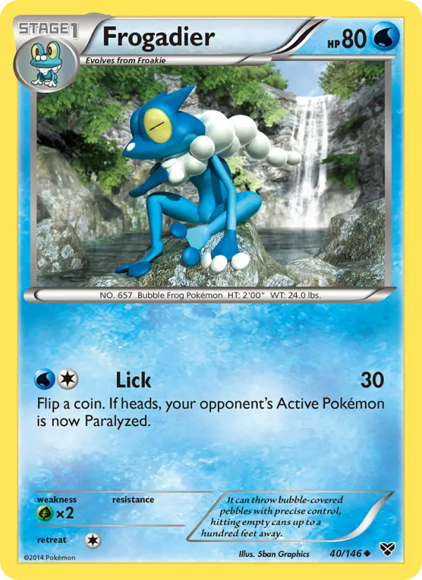 Frogadier, XY 40