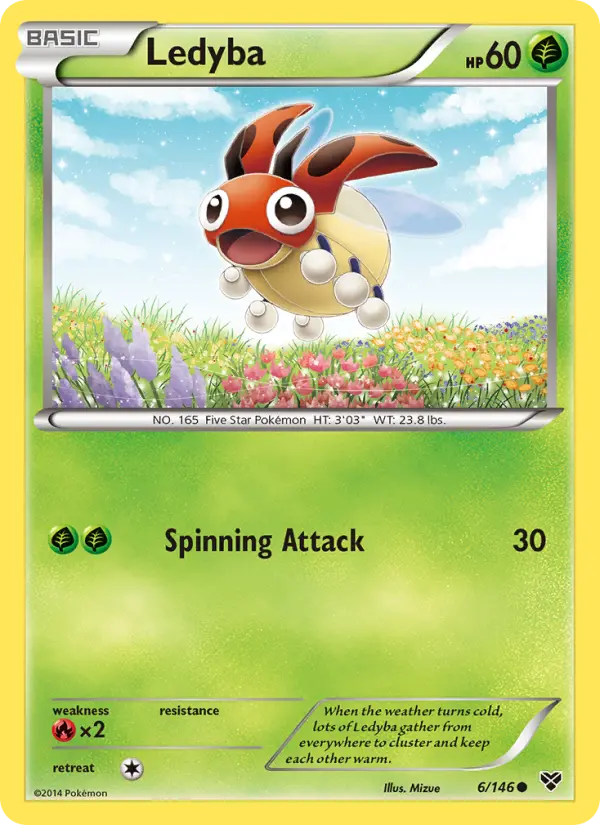 Ledyba, XY 6