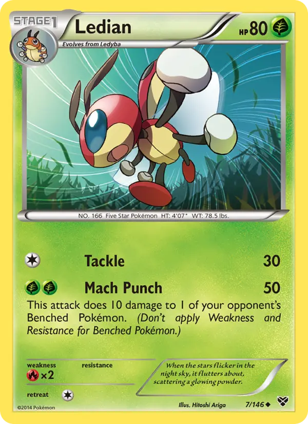 Ledian, XY 7