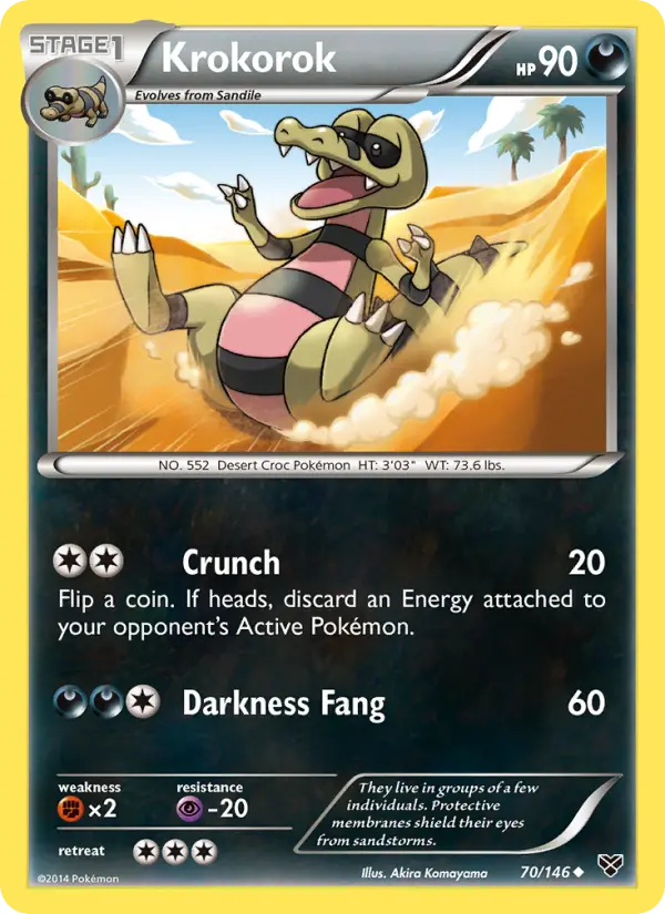 Krokorok, XY 70