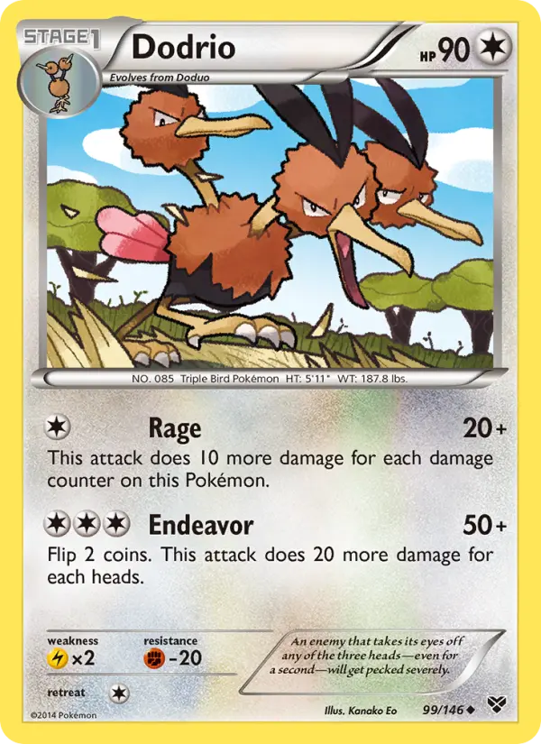 Dodrio, XY 99