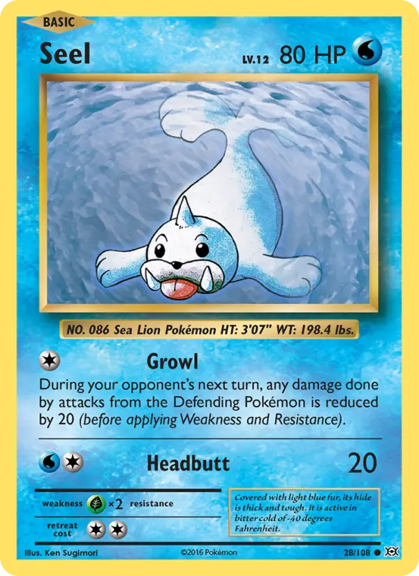 Seel, Evolutions 28