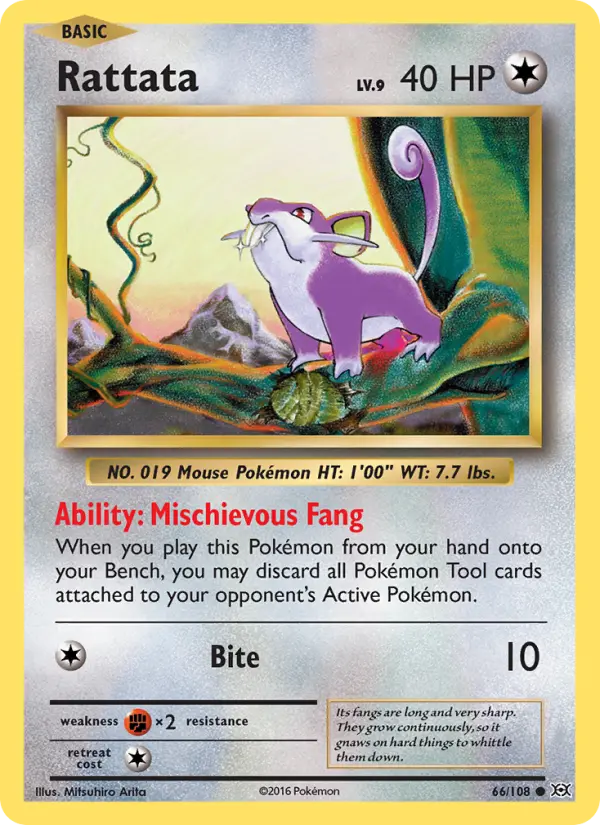 Rattata, Evolutions 66