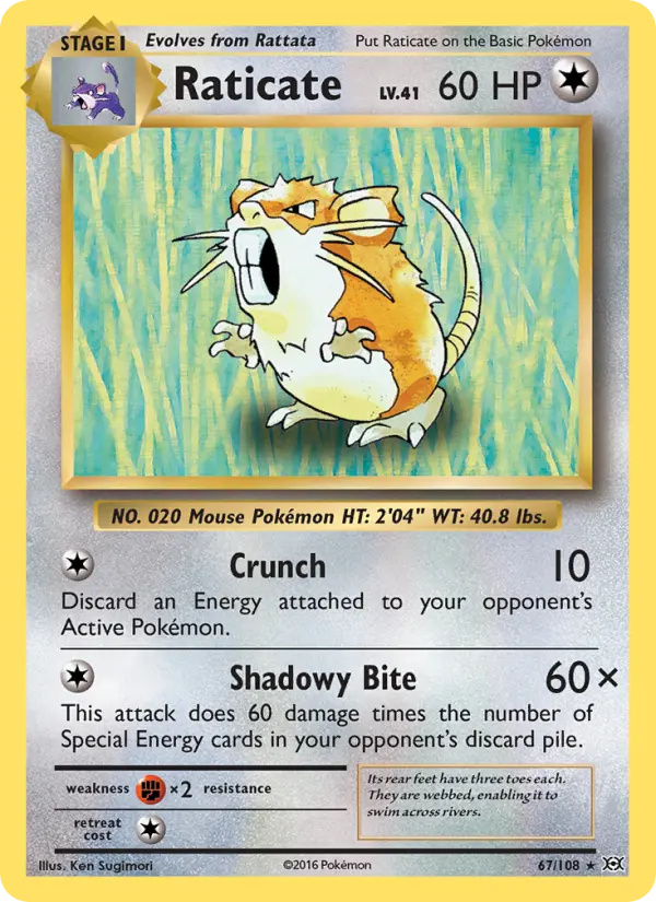 Raticate, Evolutions 67