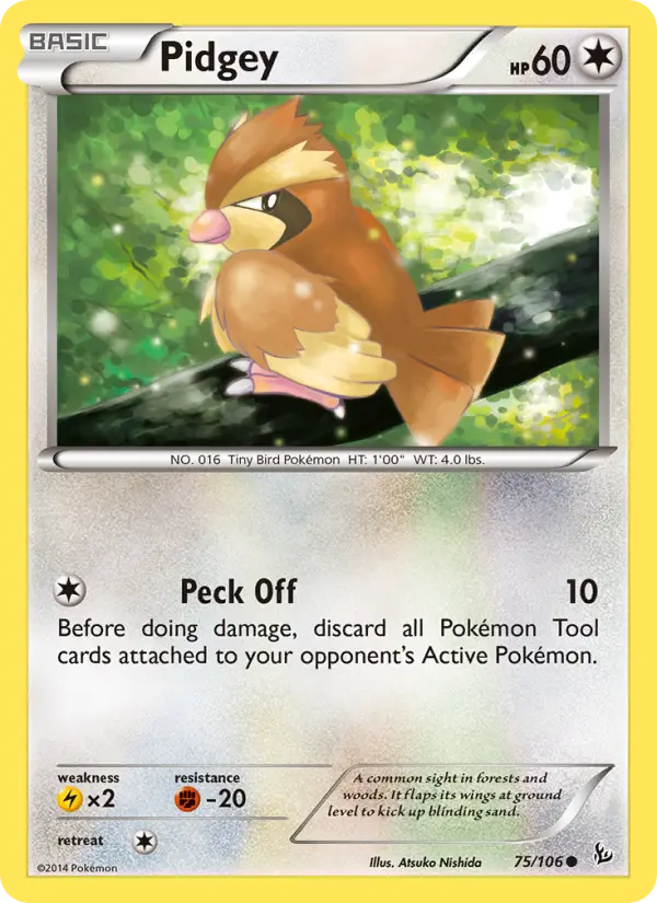 Pidgey, Flashfire 75