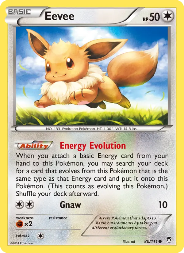 Eevee, Furious Fists 80