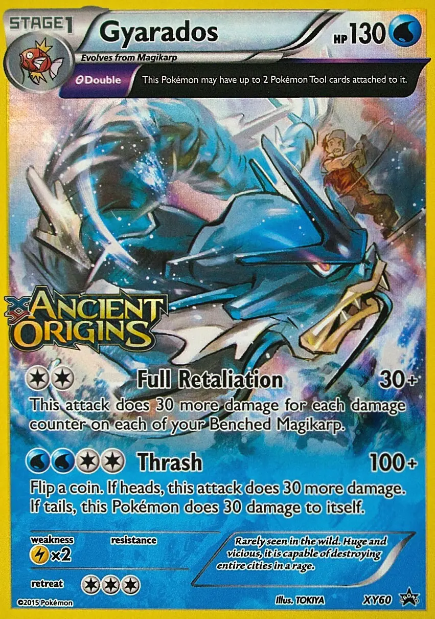 Gyarados, XY Black Star Promos XY60