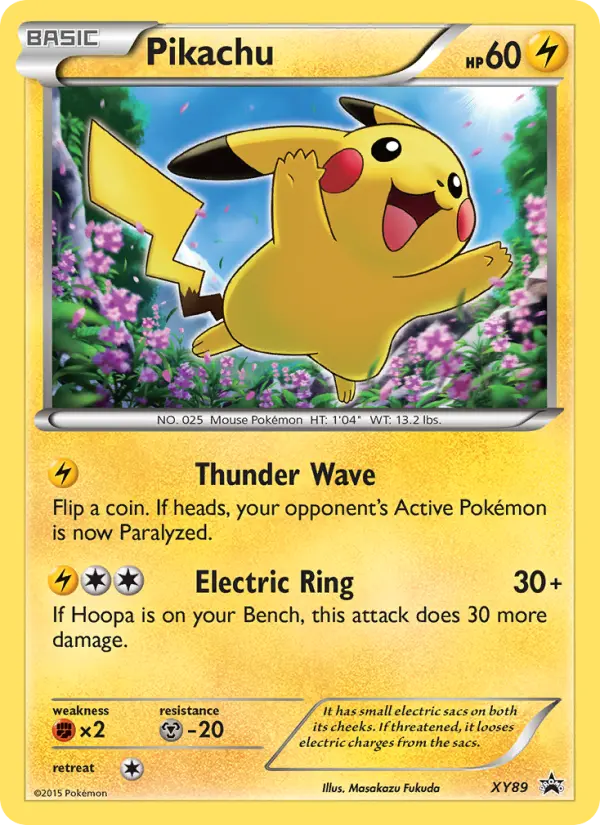 Pikachu, XY Black Star Promos XY89