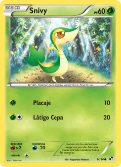 Snivy, Negro y Blanco 1
