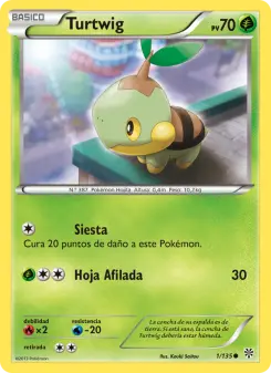 Turtwig, Tormenta Plasma 1