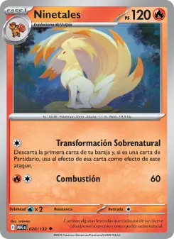 Ninetales, Megaevolución 020