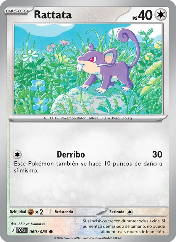 Rattata, Equilibrio Perfecto 060