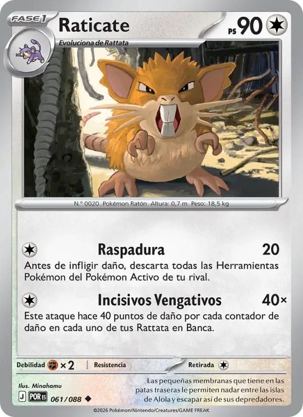 Raticate, Equilibrio Perfecto 061