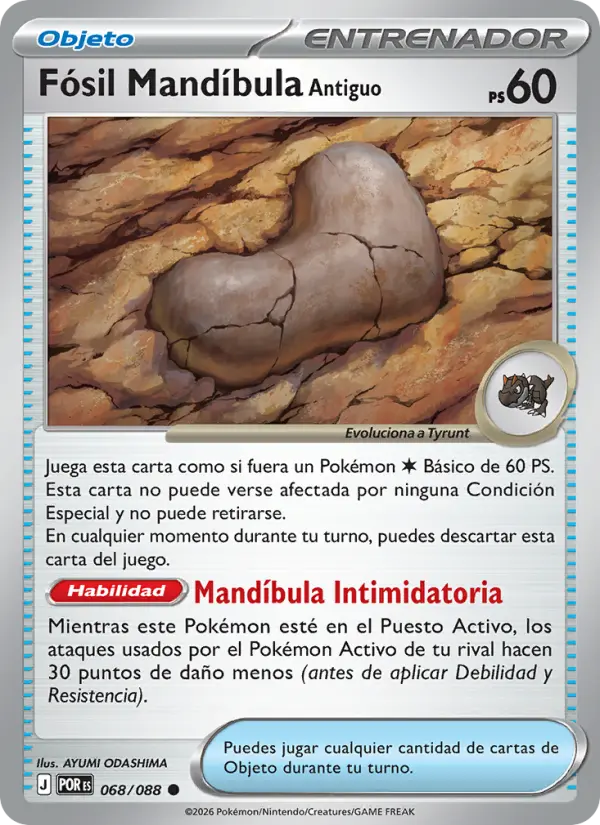 Fósil Mandíbula Antiguo, Equilibrio Perfecto 068
