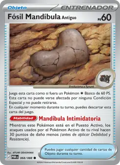 Fósil Mandíbula Antiguo, Equilibrio Perfecto 068