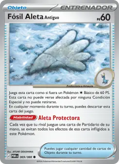 Fósil Aleta Antiguo, Equilibrio Perfecto 069