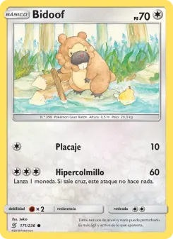 Bidoof, Mentes Unidas 171