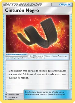 Cinturón Negro, Mentes Unidas 201