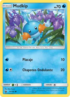 Mudkip, Tormenta Celestial 33