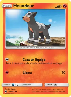 Houndour, Truenos Perdidos 45