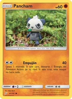 Pancham, Union de Aliados 81