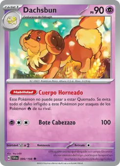 Dachsbun, Escarlata y Púrpura 099