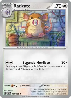 Raticate, 151 020