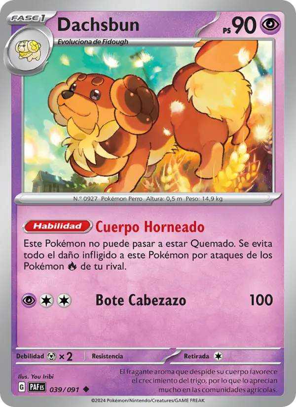 Dachsbun, Destinos de Paldea 039