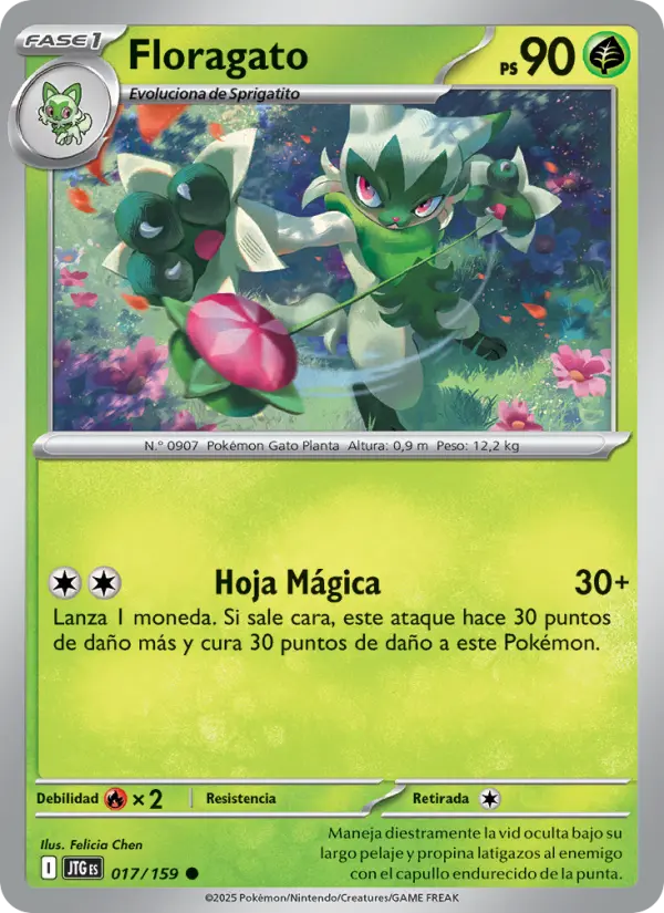 Floragato, Juntos de Aventuras 017